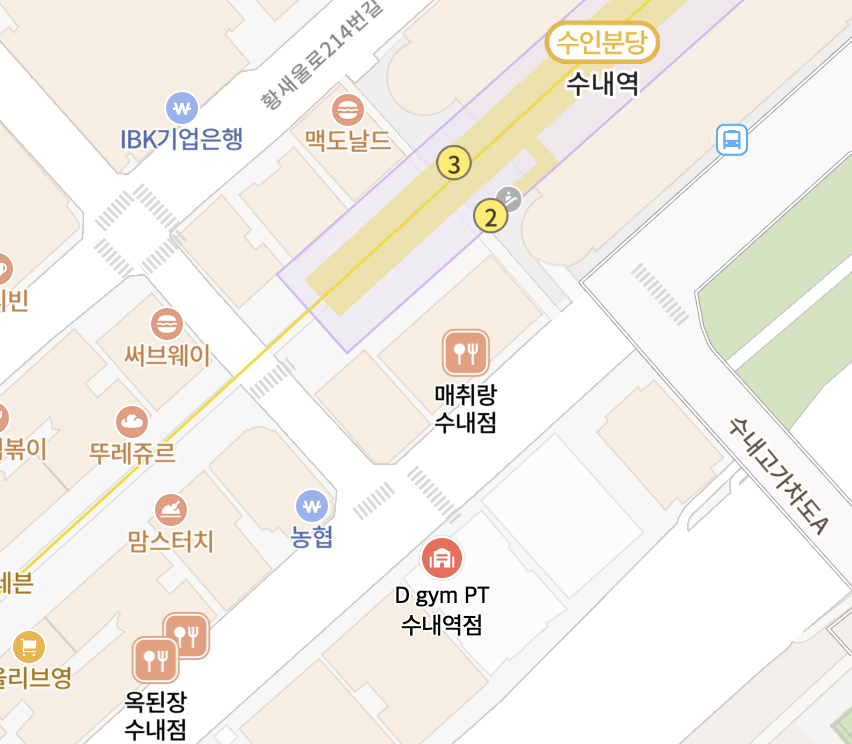 D GYM 수내역점 네이버 지도 위치